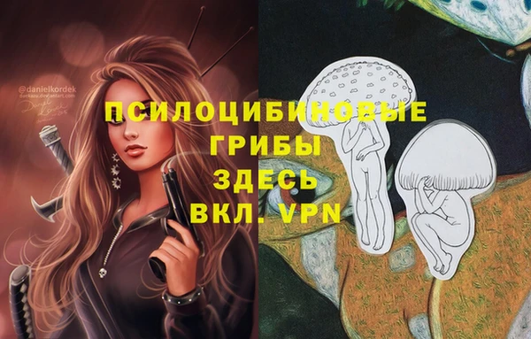 таблы Волоколамск