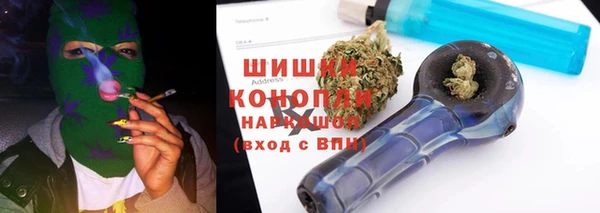 гидра Володарск