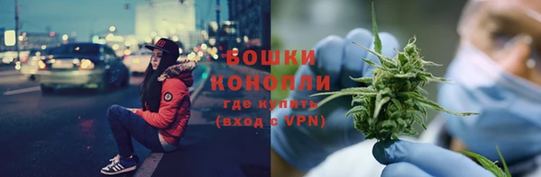 гидра Володарск