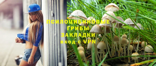 гидра Володарск