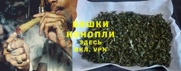 гидра Володарск
