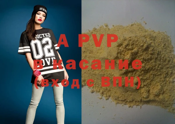 гидра Володарск