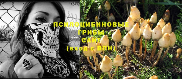 гидра Володарск
