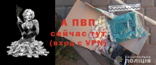 ГАЛЛЮЦИНОГЕННЫЕ ГРИБЫ Волосово
