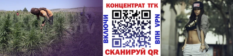 Купить где  Киренск  Дистиллят ТГК Wax 