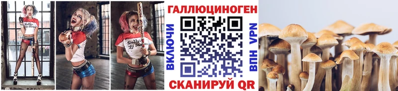 Псилоцибиновые грибы Psilocybine cubensis  Купить  Киренск 